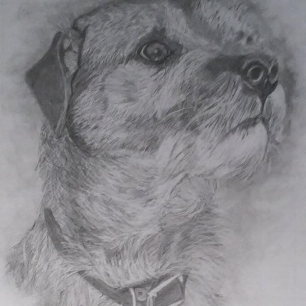 Portraits in pencil 