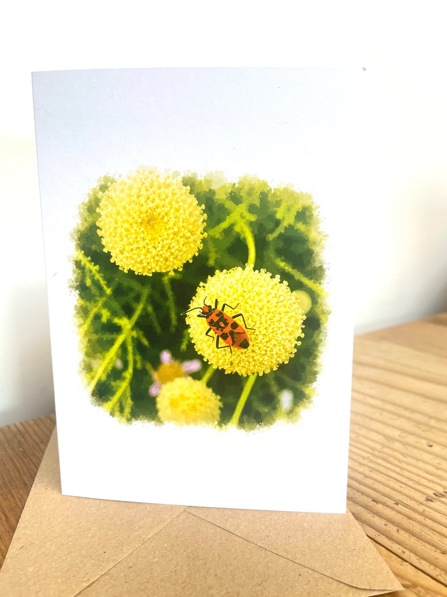 Blank Card A6 Portrait - Cinnamon Bug