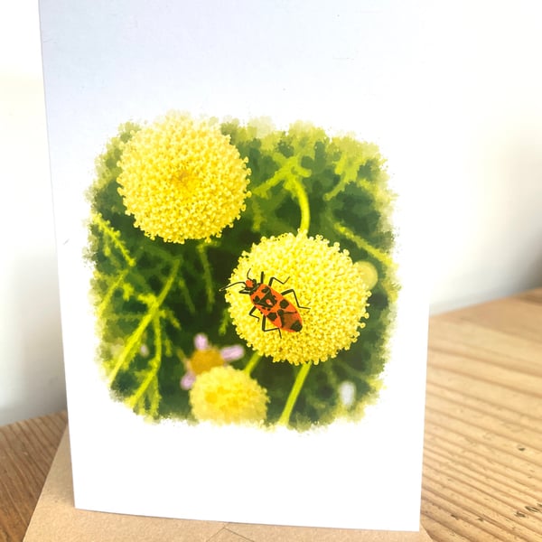 Blank Card A6 Portrait - Cinnamon Bug