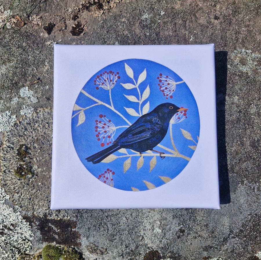 Blackbird Canvas Print 