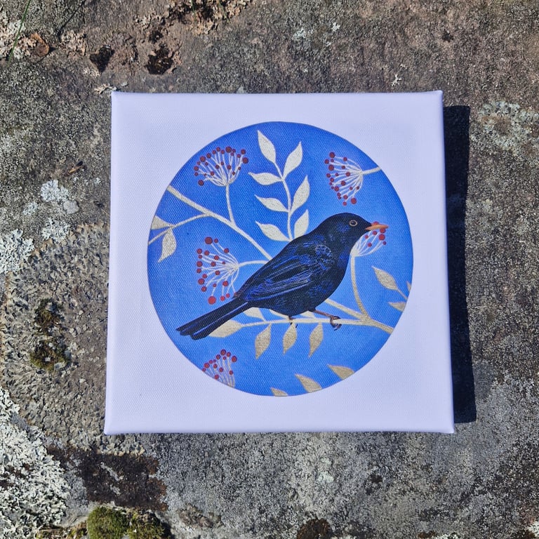 Blackbird Canvas Print 