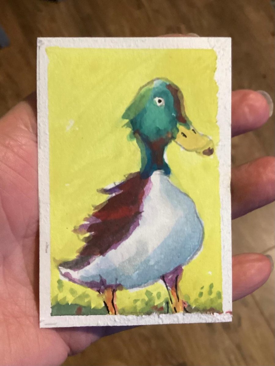 Aceo Duck, Original Watercolour, Size 3.5 x 2.5 inches,  Miniature Art