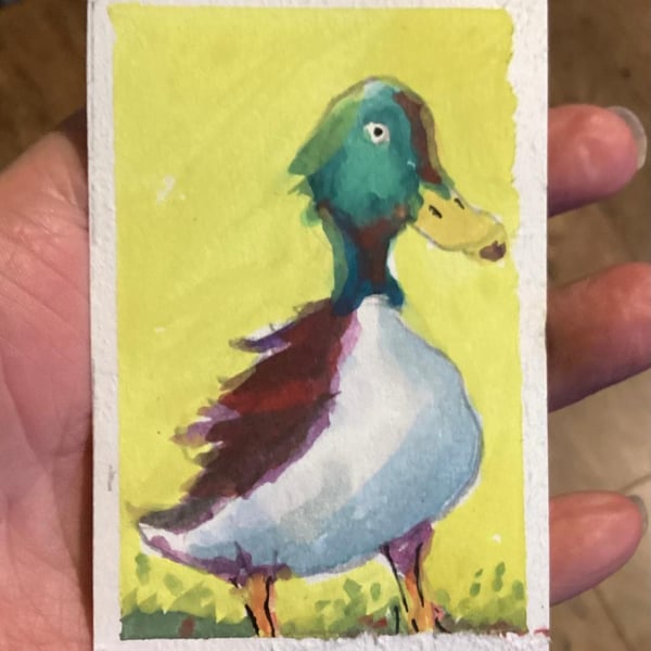 Aceo Duck, Original Watercolour, Size 3.5 x 2.5 inches,  Miniature Art
