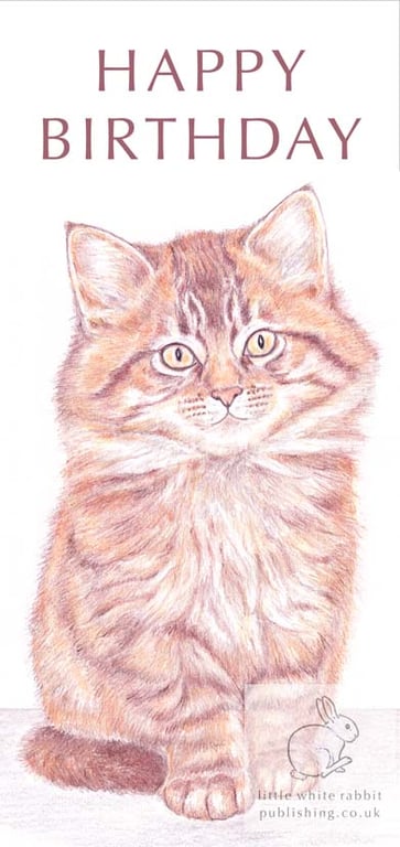 Moppet the Kitten - Birthday Card