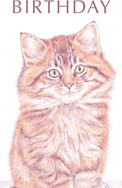 Moppet the Kitten - Birthday Card