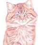 Moppet the Kitten - Birthday Card - Image 1