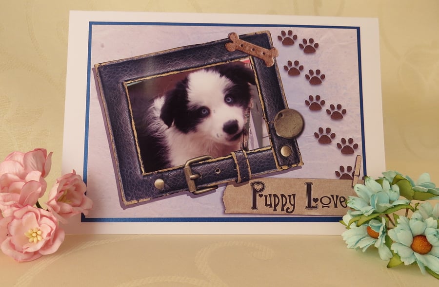 Puppy Love - Border Collie Greeting Card