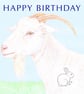White Goat - Birthday Card - Image 1