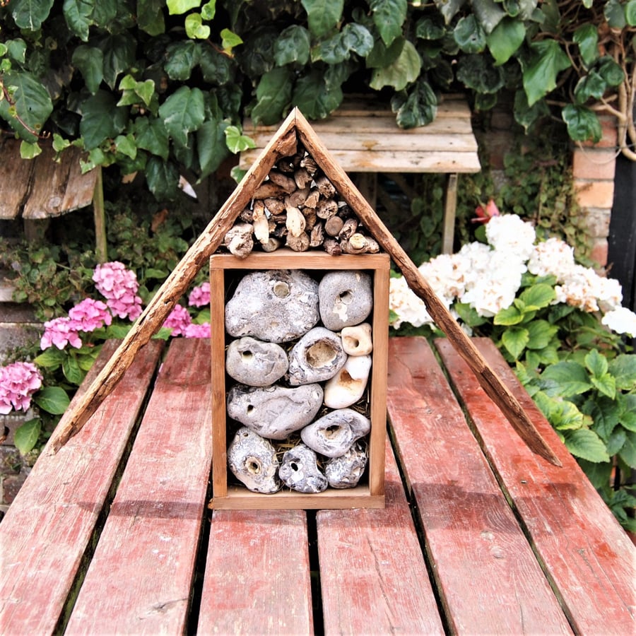 Insect bug bee house