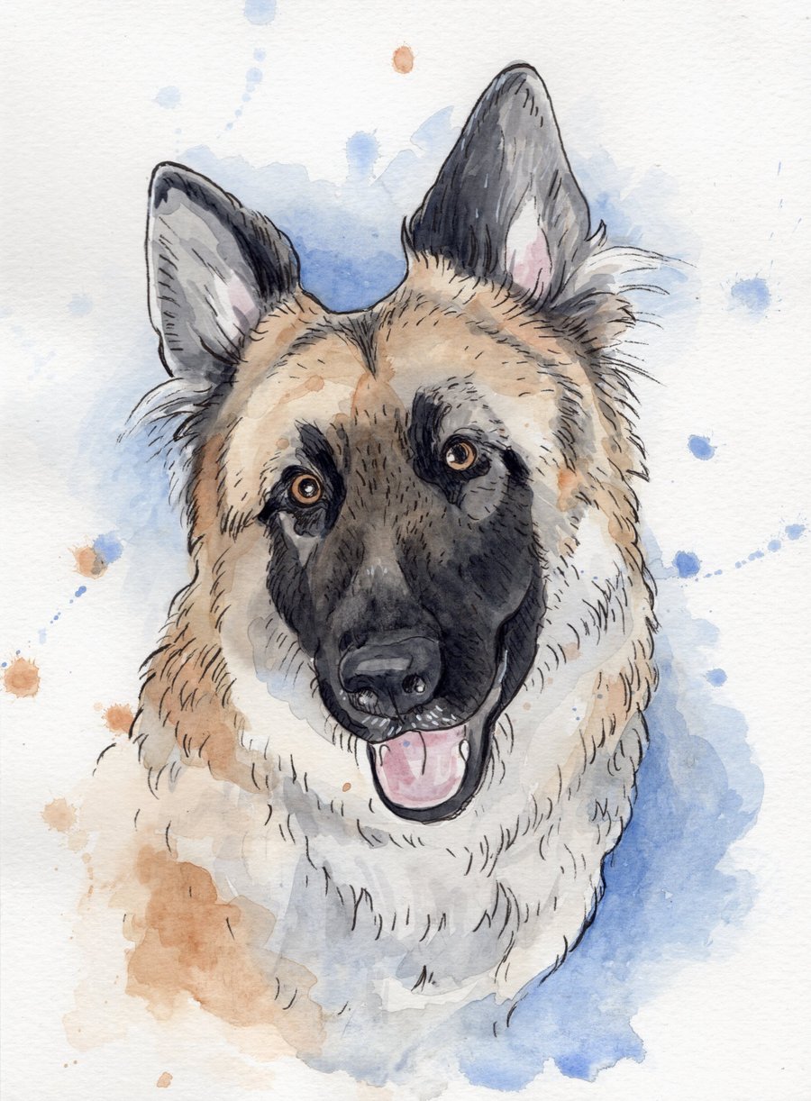 Custom "Splash" style Pet Portrait - A4, ink and watercolour