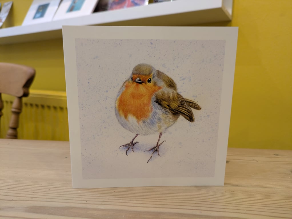 Robin Design Christmas Cards