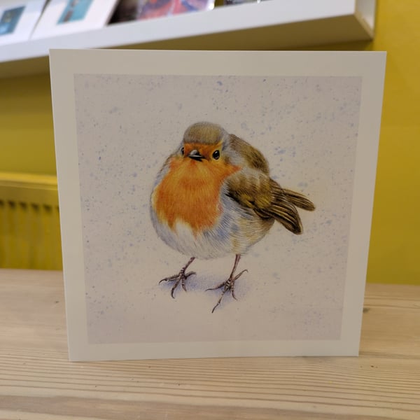 Robin Design Christmas Cards