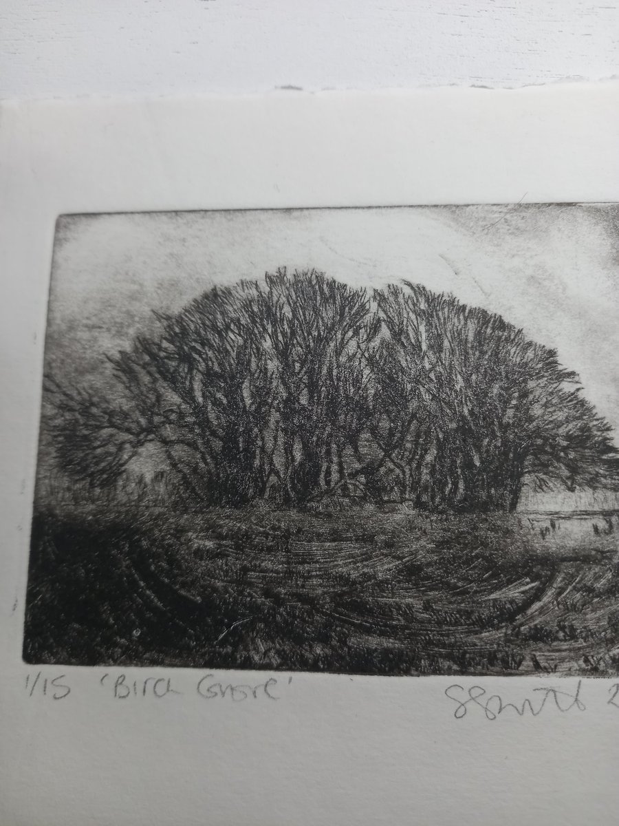 Moody etching 'Birch grove, Exmoor'