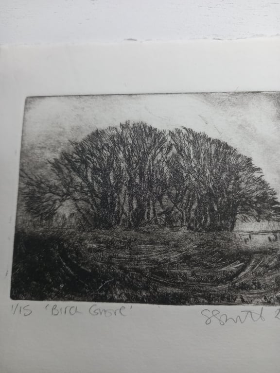 Moody etching 'Birch grove, Exmoor'