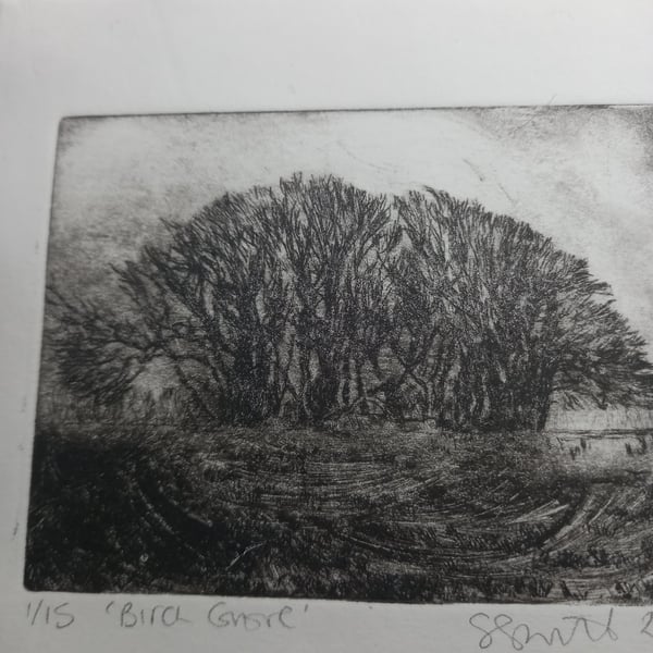 Moody etching 'Birch grove, Exmoor'