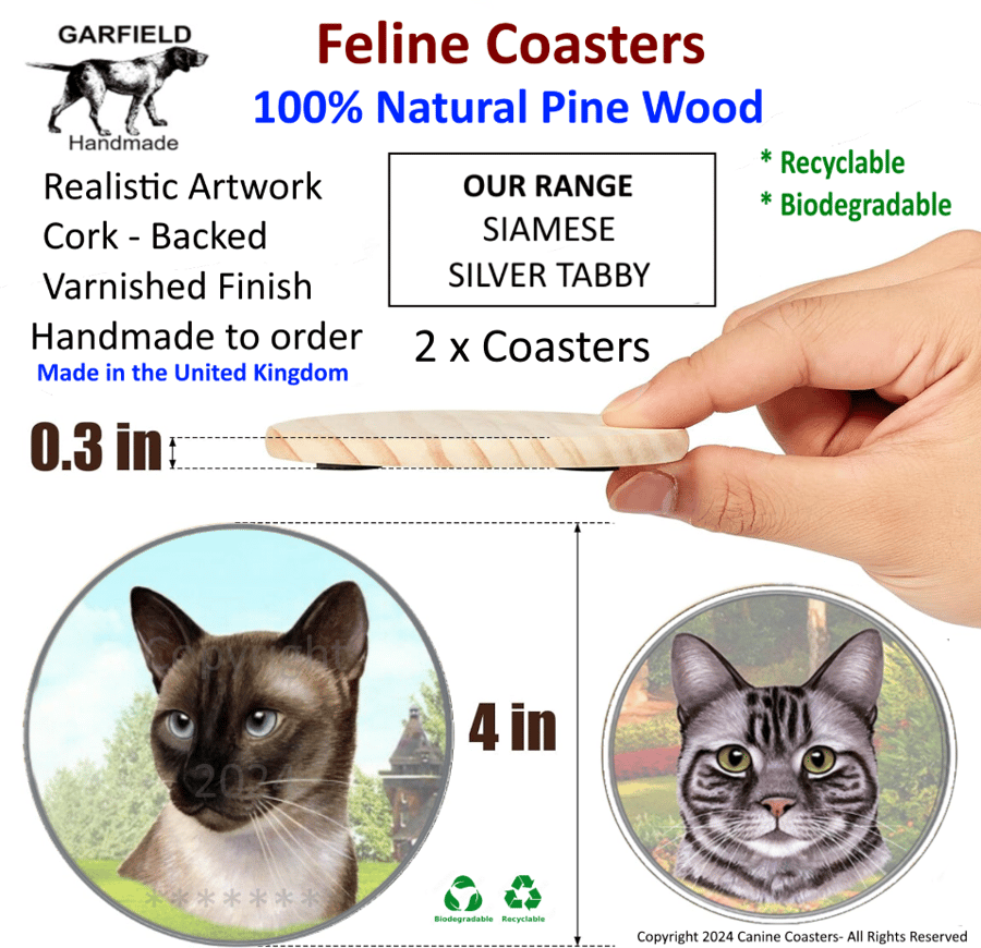 Coaster Cats Siamese Silver Tabby