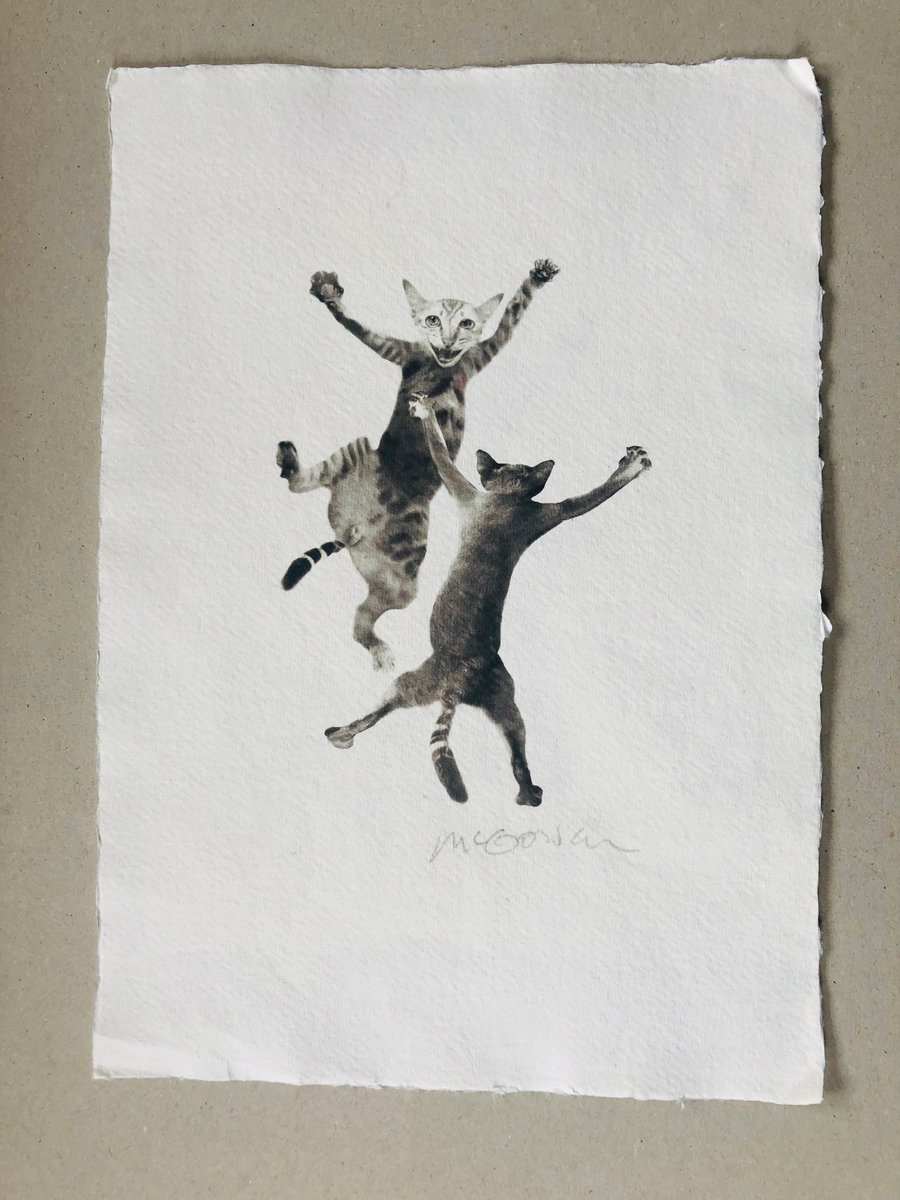 two Cats Dancing