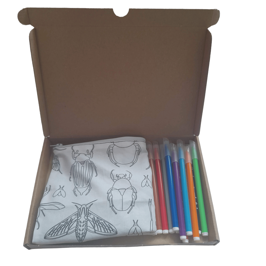 Insect Pencil Case to colour, Letterbox gift