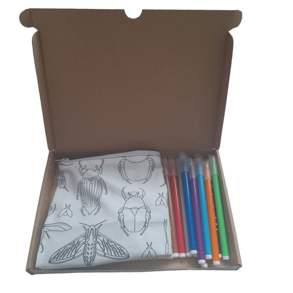 Insect Pencil Case to colour, Letterbox gift