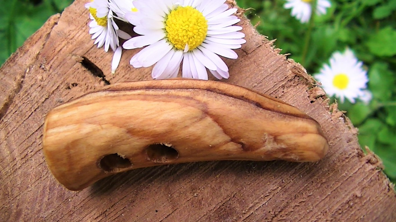 Half a dozen Yew wood Toggles