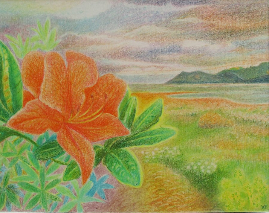 Rhododendron, Skipness Beach - Original Coloured Pencil Drawing