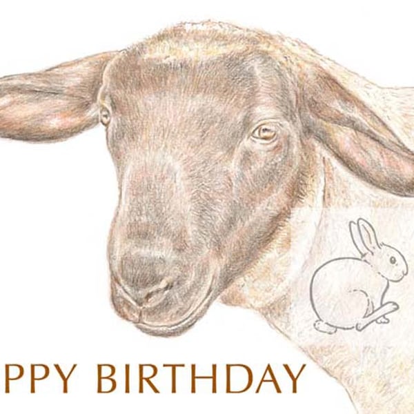 Jake the Sheep - Birthday Card