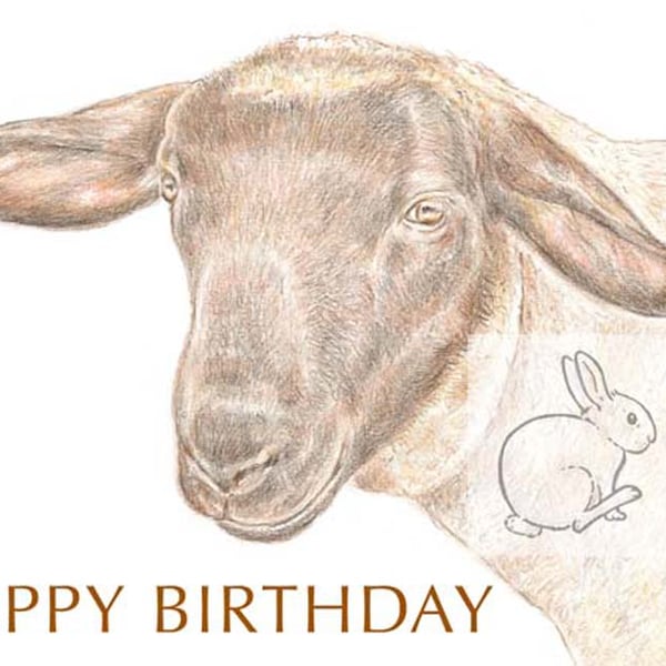 Jake the Sheep - Birthday Card