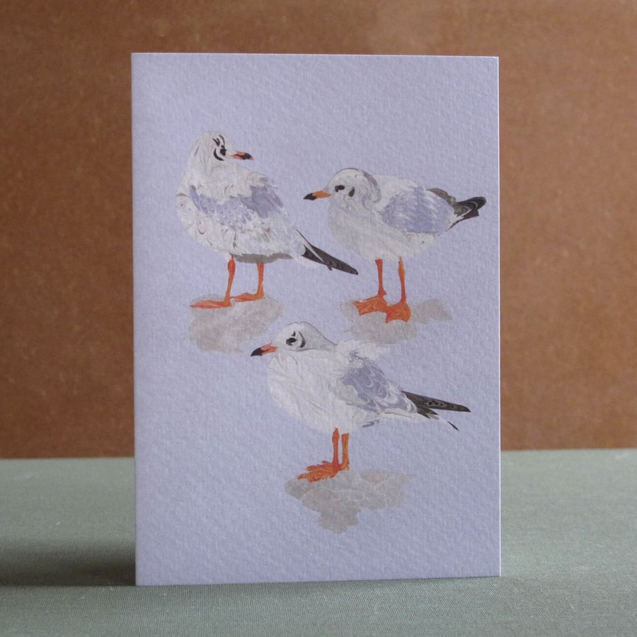 Blank Fine Art Card with Envelope