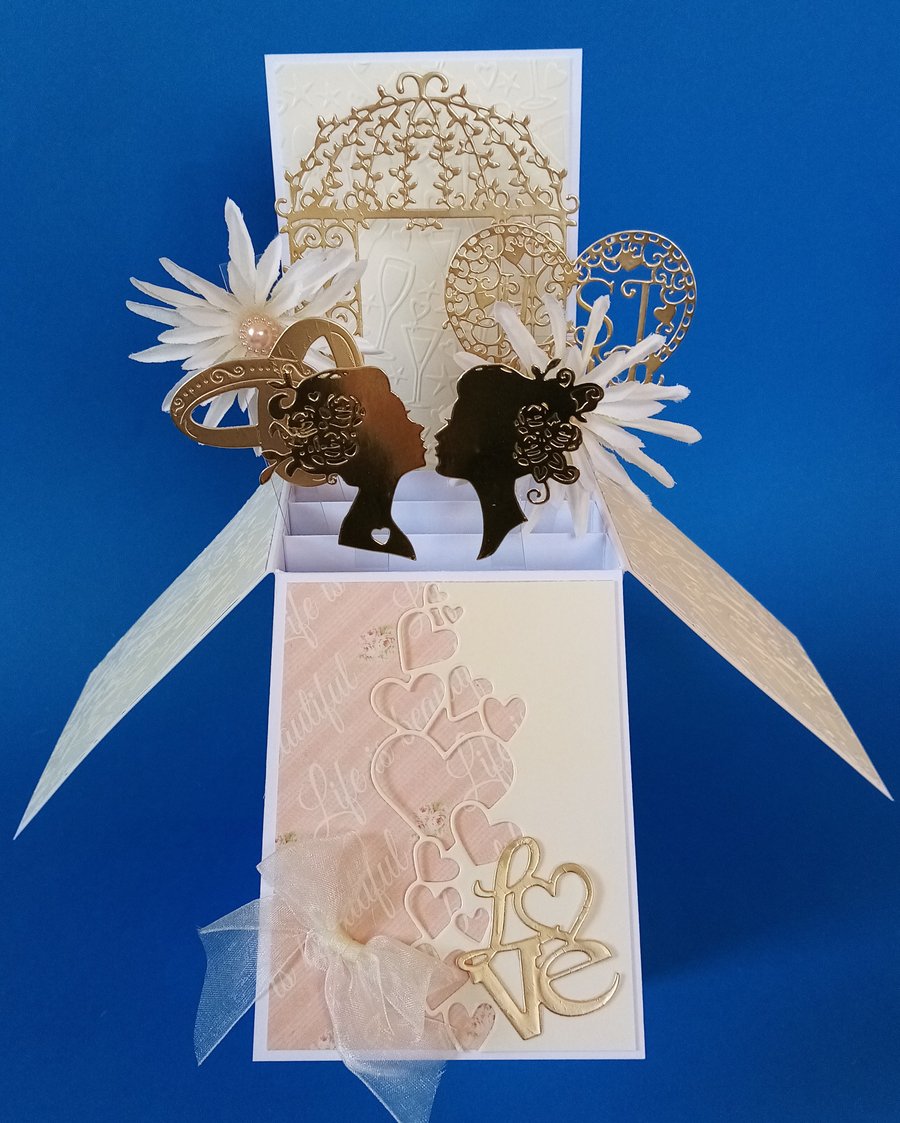 Mrs and Mrs Wedding Card 