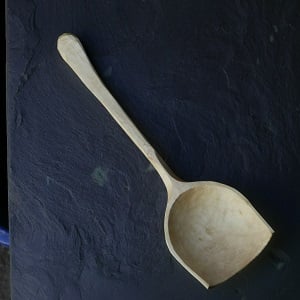 Sycamore Cooking Scoop