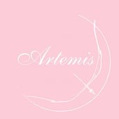Artemis Handmade Accessories