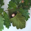 Acorn doll in an oak leaf