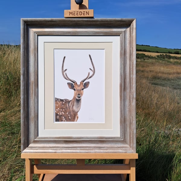 FRAMED Stag Drawing limited run Gilcee print 