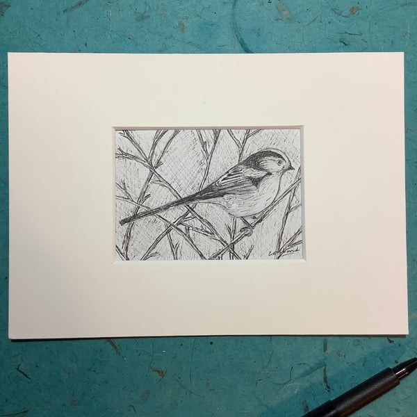 Long-tailed tit - pen and ink original miniature of bird