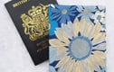 passport sleeves, ticket sleeves.