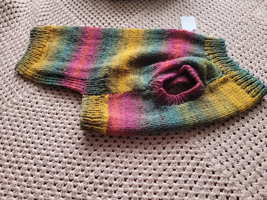 Rainbow Jumper style dog coat. Hand knitted.  