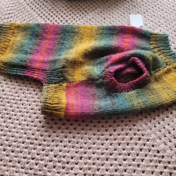 Rainbow Jumper style dog coat. Hand knitted.  