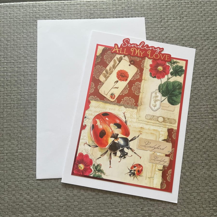 Sending all my love ladybird card 