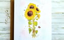 BIRTHDAY CARDS - AGE AND GENERAL 