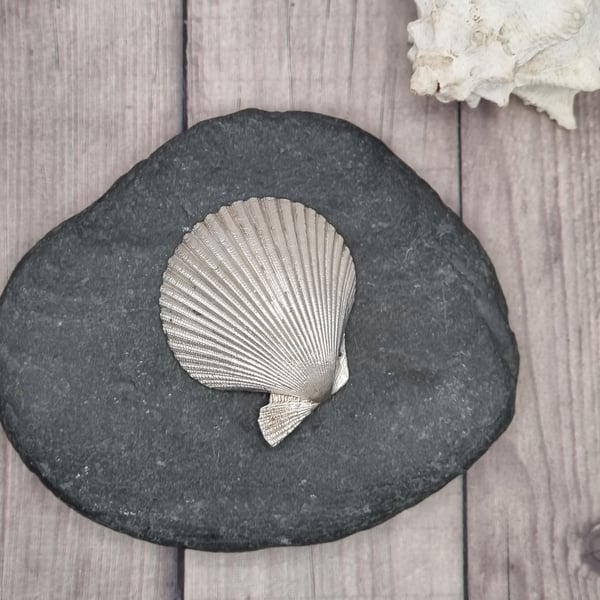 Real scallop seashell preserved in silver, beautiful ornament 