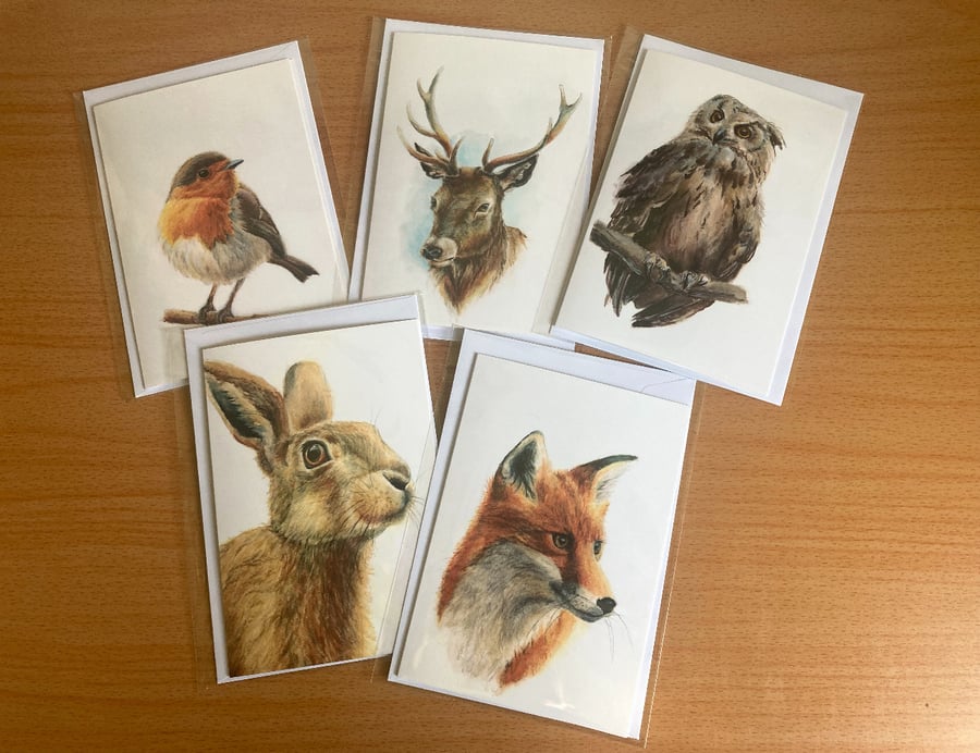 woodland animal blank greetings cards set of 5.