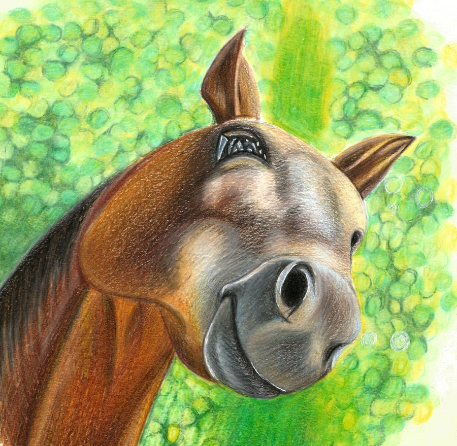 Original Colour Pencil Horse Drawing