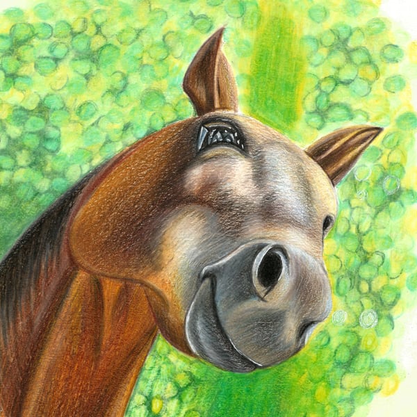 Original Colour Pencil Horse Drawing