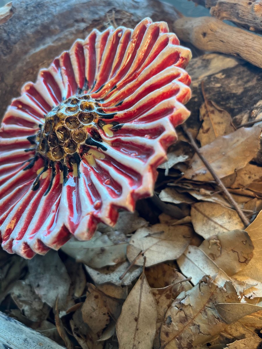 Ceramic red sunflower glazed 