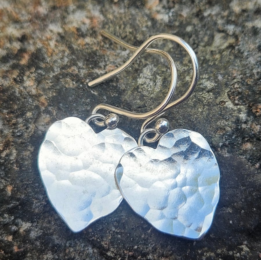 Sparkle Heart Earrings 