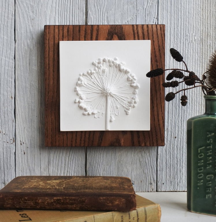 Allium No.2 Plaster Cast Wall Plaque, Limited Edition