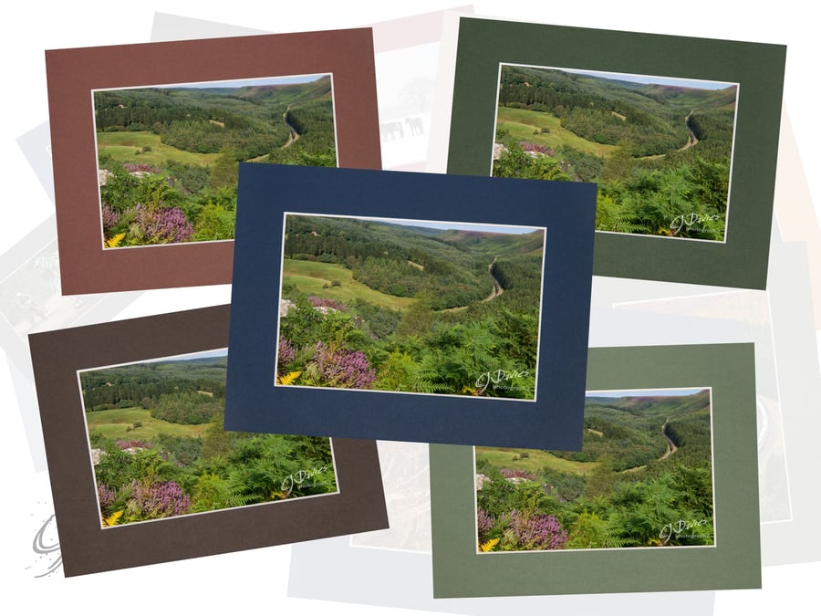 CJ249 - Summer on the NYMR