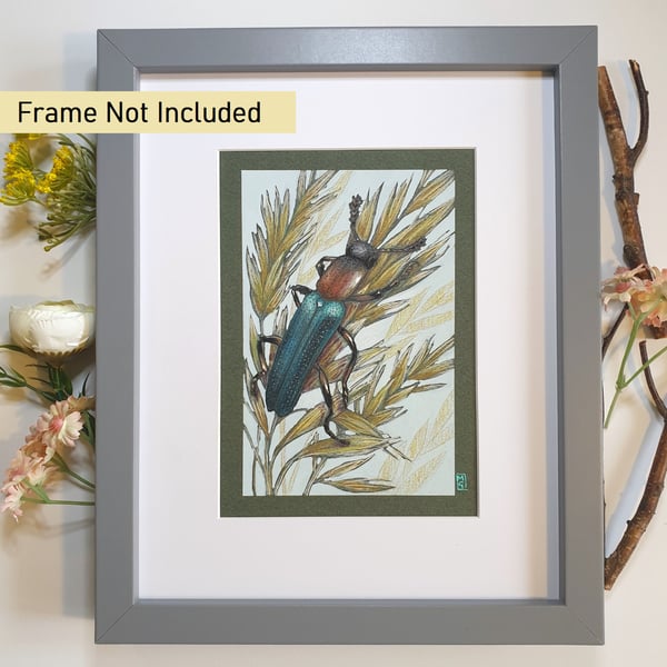 Lizard Beetle drawing, original insect artwork, insect wall art