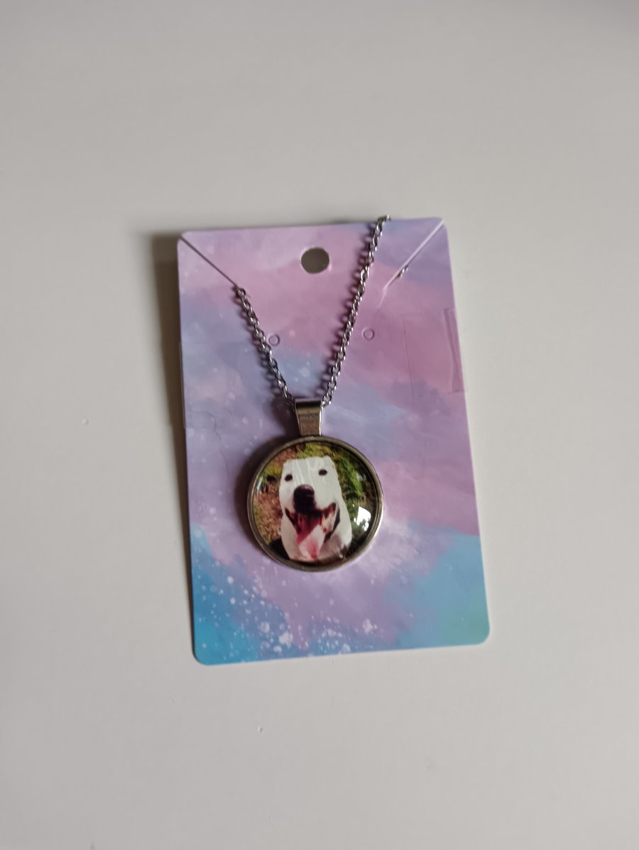 Cute staffordshire bull terrier dog photography necklace