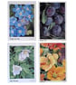 Oil painting mini print  - Image 1